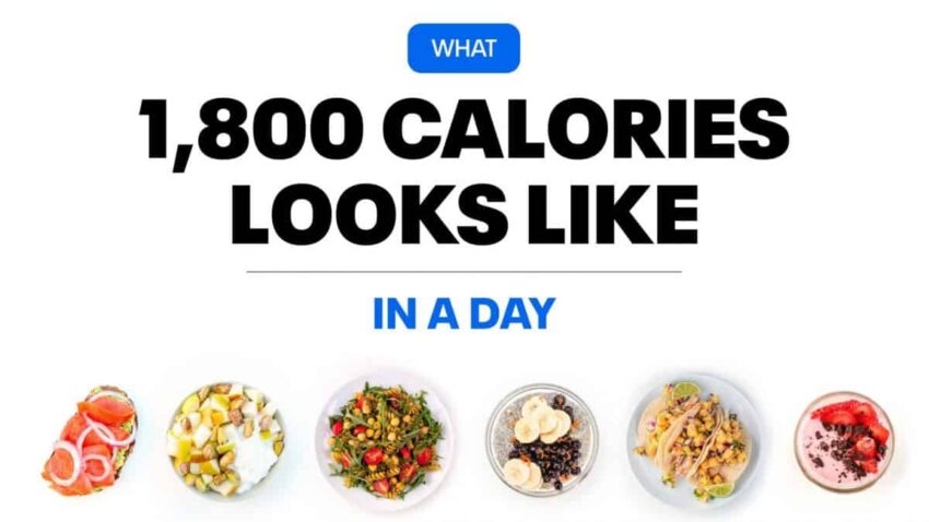 How many calories should you eat in a day?