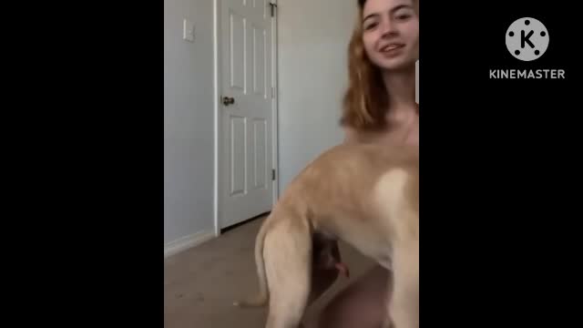 denise frazier dog video