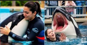 Uncensored Jessica Radcliffe video jessica et son dauphin