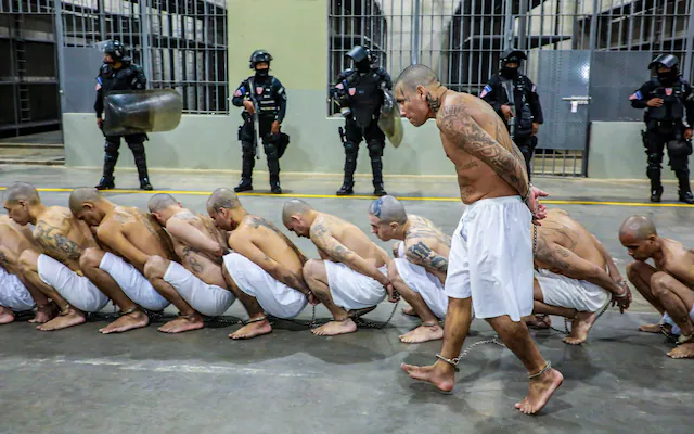 bari weiss 60 minutes